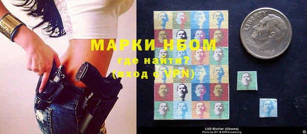 индика Абинск