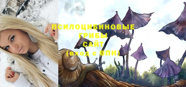 стаф Нефтегорск