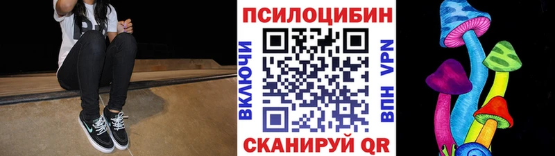 Псилоцибиновые грибы Psilocybine cubensis OMG онион Дрезна